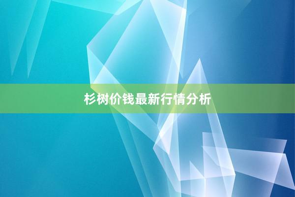 杉树价钱最新行情分析