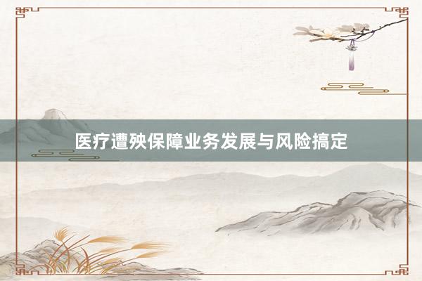 医疗遭殃保障业务发展与风险搞定