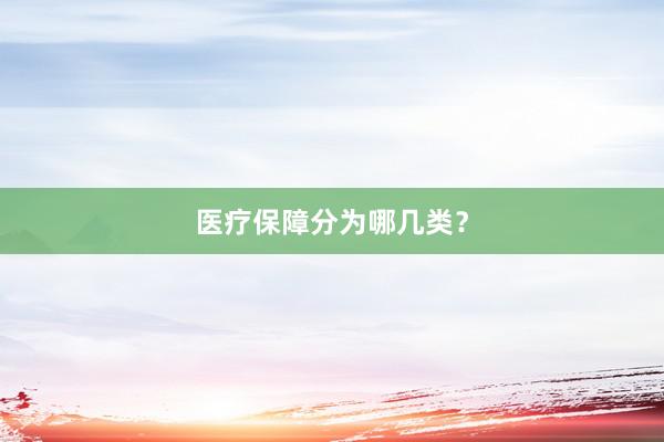 医疗保障分为哪几类？