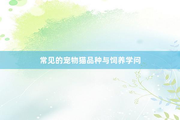 常见的宠物猫品种与饲养学问
