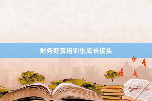 财务贬责培训生成长接头